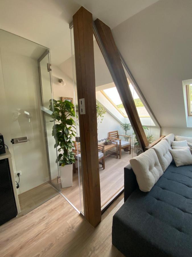 Apartmany & Wellness Revenite Jeseník エクステリア 写真