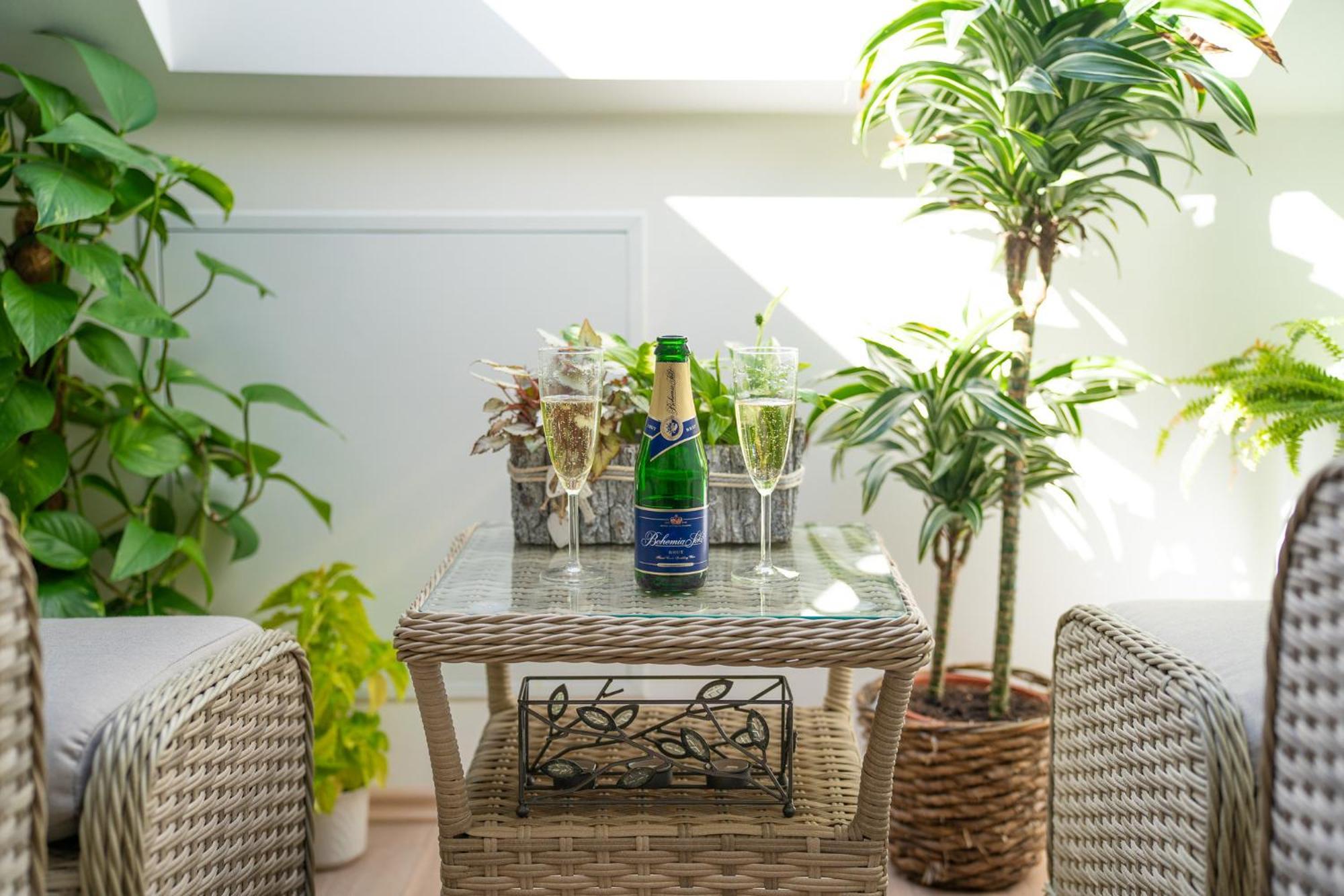 Apartmany & Wellness Revenite Jeseník エクステリア 写真