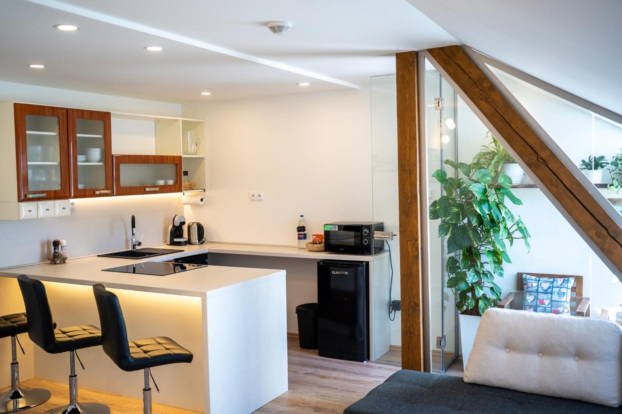 Apartmany & Wellness Revenite Jeseník エクステリア 写真