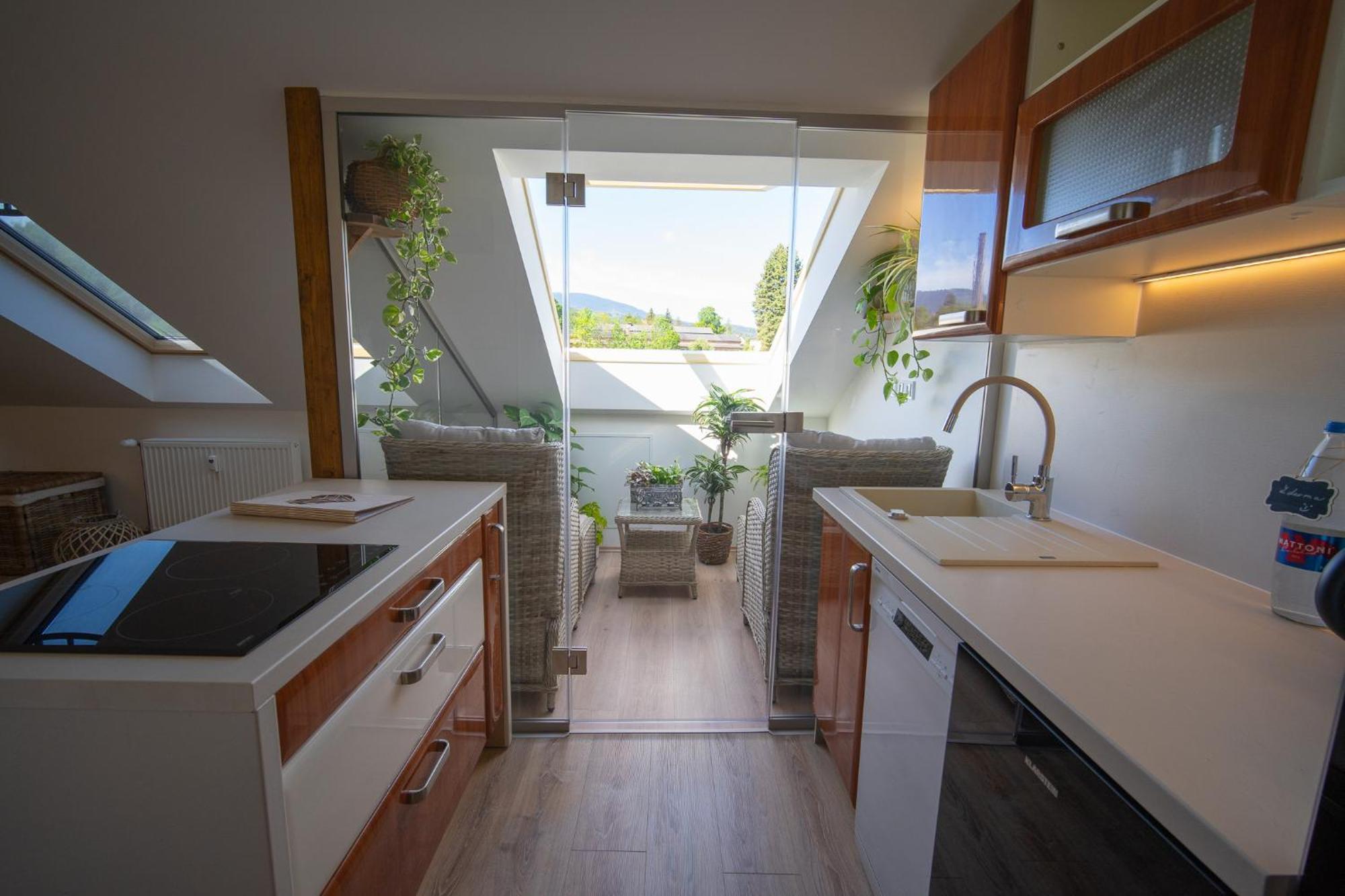 Apartmany & Wellness Revenite Jeseník エクステリア 写真